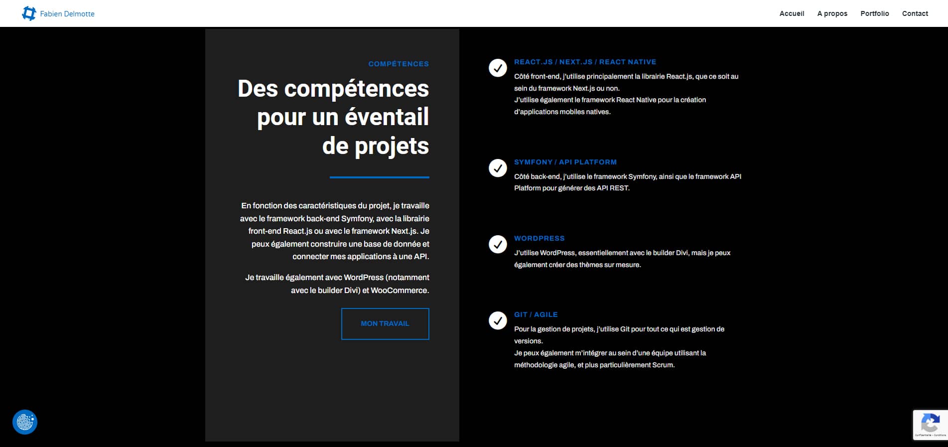 Partie Compétences du portfolio de Fabien Delmotte